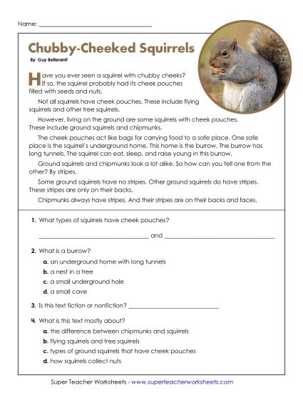 aChubby-Cheeked Squirrels