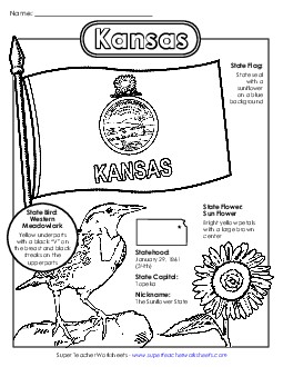 Kansas State Symbols Coloring Page Free States Individual Worksheet