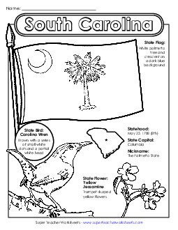 South Carolina State Symbols Coloring Page Free States Individual Worksheet