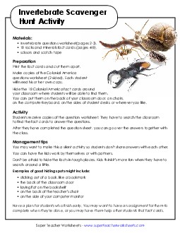 Classroom Scavenger Hunt Invertebrates Worksheet