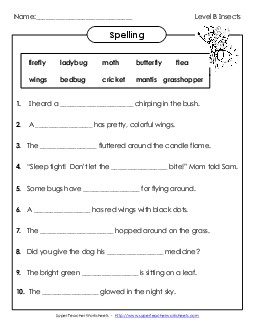 Sentence Completion (B-Insect Words)  Spelling B Worksheet