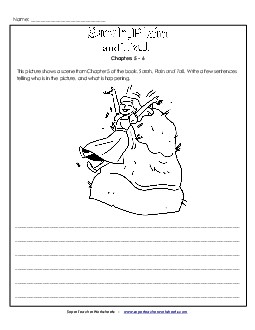 Picture Summary Activity Book Sarah Plain And Tall Worksheet