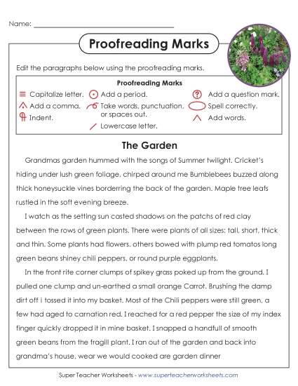 New Proofreading: The Garden Worksheet