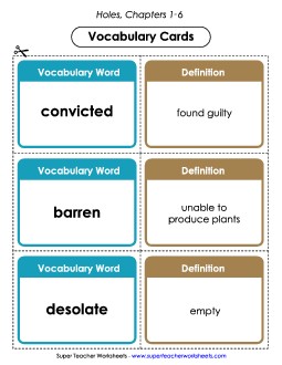 Vocabulary Cards for Chapters 1-6 Book Holes Worksheet