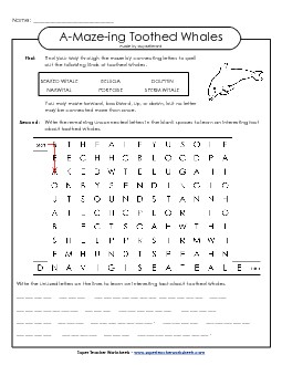 A-Maze-ing Puzzle: Toothed Whales A Maze Ing Worksheet