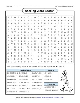 Word Search (D-16) Spelling D Worksheet