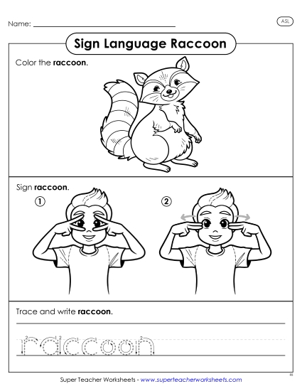 New Raccoon Worksheet New Raccoon Worksheet
