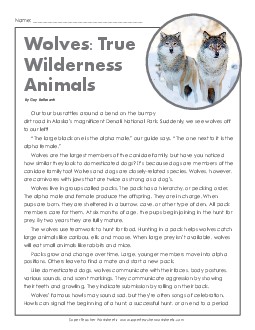 Wolves: True Wilderness Animals Reading Comprehension Worksheet