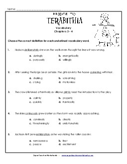 Vocabulary for Chapters 3 and 4 Book Bridge To Terabithia Worksheet