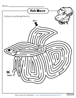 Fish Maze Brainteasers Worksheet