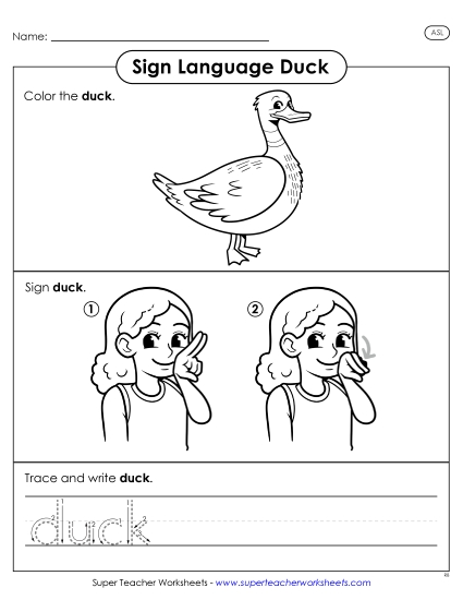 New Duck Worksheet New Duck Worksheet