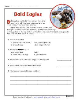 Bald Eagles (Nonfiction) 2nd Grade Reading Comprehension Reading Comp Short Worksheet