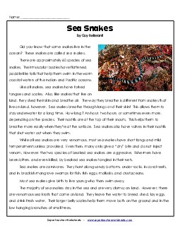 Sea Snakes 6th Grade Reading Comprehension Worksheet