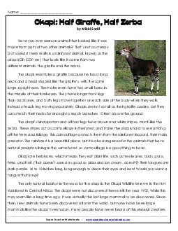 Okapi 3rd Grade Reading Comprehension Worksheet