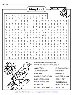 Word Search Puzzle States Individual Worksheet