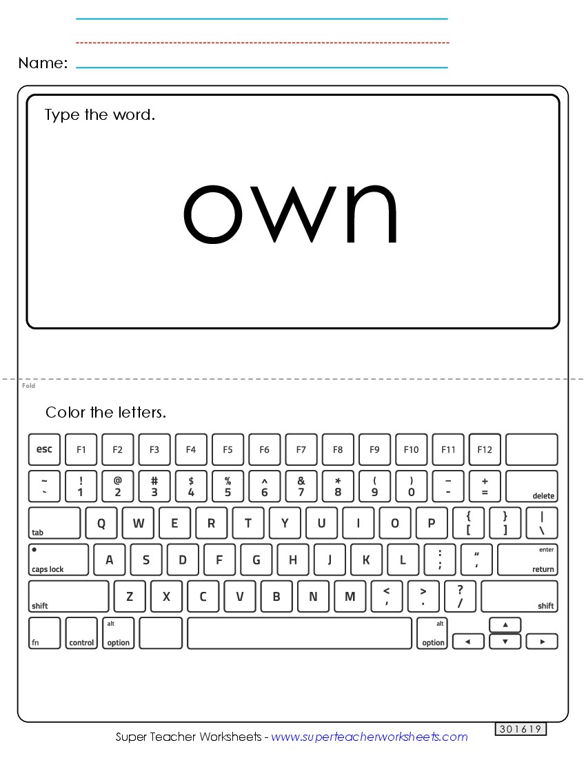 Type the Word: Own Sight Words Individual Worksheet