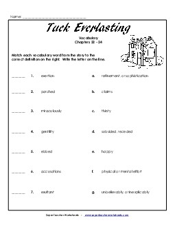 Vocabulary for Chapters 22-24 Book Tuck Everlasting Worksheet