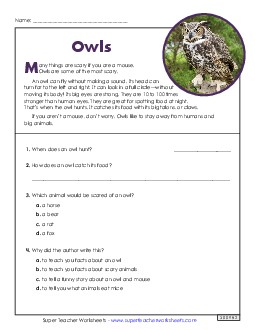 Owls (Short) 2nd Grade Reading Comprehension Reading Comp Short Worksheet