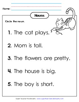 New Identify Nouns (A)  Worksheet