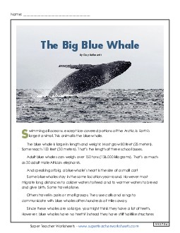 Blue Whales 5th Grade Reading Comprehension Worksheet