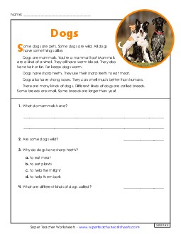 Dogs (Nonfiction) 2nd Grade Reading Comprehension Reading Comp Short Worksheet