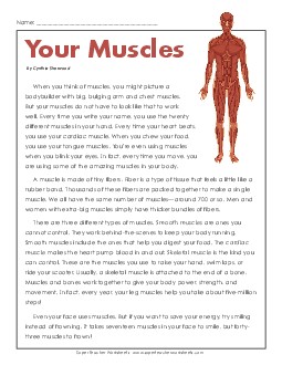 Article: Your Muscles 6th Grade Science Worksheet