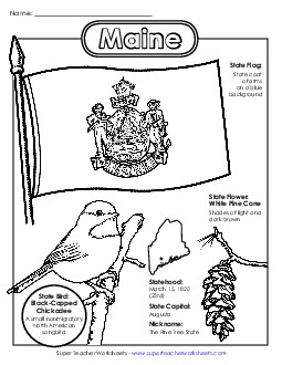 Maine State Symbols Coloring Page States Individual Worksheet