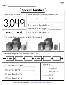 Special Number: 3,049 Worksheet