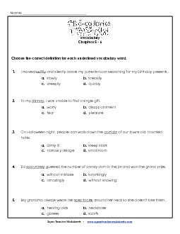 Vocabulary for Chapters 5 & 6 Book Chocolate Touch Worksheet