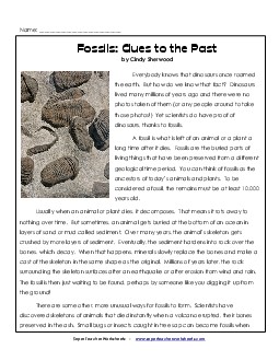 Fossils: Clues to the Past Reading Comprehension Worksheet