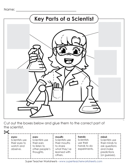 New Key Parts of a Scientist (Cut & Glue) Worksheet New Key Parts of a Scientist (Cut & Glue) Worksheet
