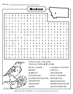 Word Search Puzzle Free States Individual Worksheet