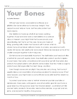 Article: Your Bones 6th Grade Science Worksheet