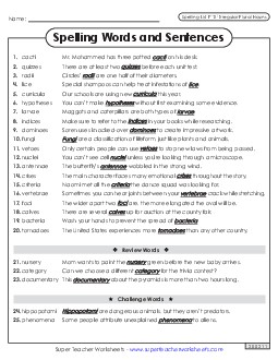 Spelling Sentences (F-12) Spelling F Worksheet