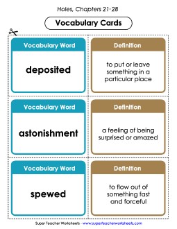 Vocab. Cards for Chapters 21-28 Book Holes Worksheet