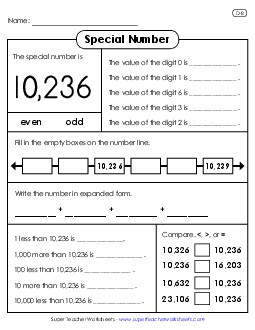 Special Number: 10,236 Worksheet