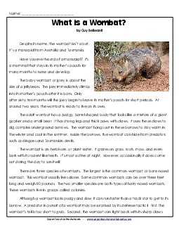 Wombats 5th Grade Reading Comprehension Worksheet