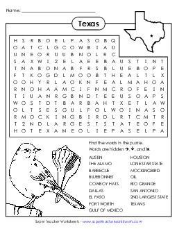 Word Search Puzzle States Individual Worksheet