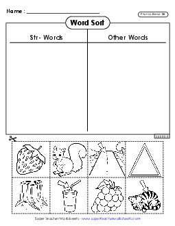 Word Sort (Str- Words) Phonics Blends Worksheet