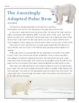 Polar Bears Reading Comprehension Worksheet