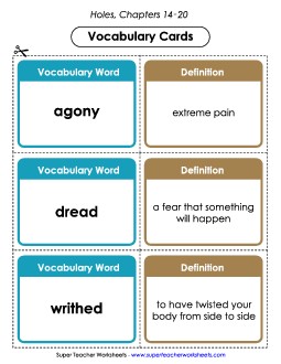 Vocab. Cards for Chapters 14-20 Book Holes Worksheet