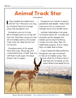 Pronghorn 3rd Grade Reading Comprehension Worksheet