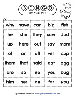 Sight Word Bingo (Unit 12) Sight Words Worksheet