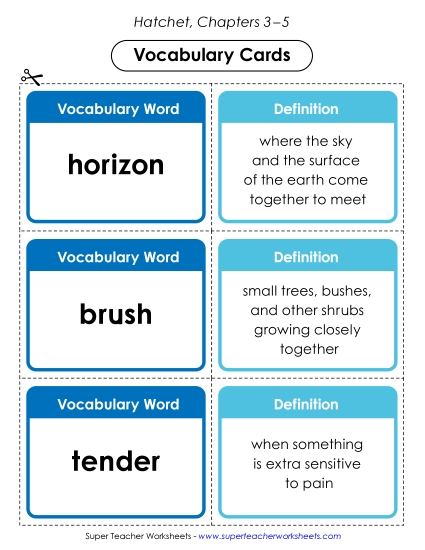 New Vocabulary Cards (Chapters 3–5) Worksheet New Vocabulary Cards (Chapters 3–5) Worksheet