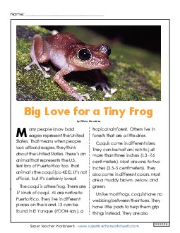 Big Love for a Tiny Frog Reading Comprehension Worksheet