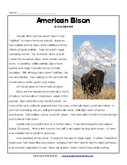 American Bison Reading Comprehension Worksheet