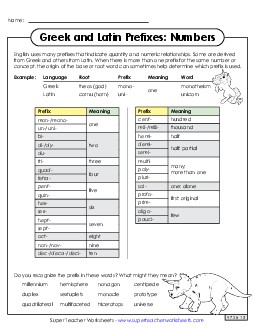 Number Prefixes Reference Sheet Greek Latin Word Parts Worksheet