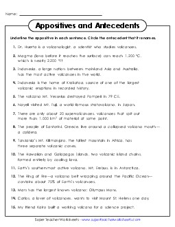 Appositives & Antecedents 6th Grade ELA Worksheet