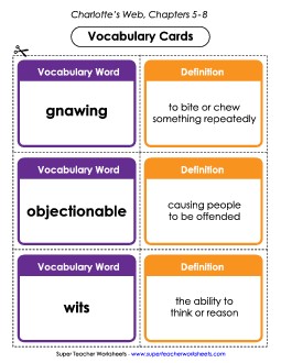 Vocabulary Cards for Chapters 5-8 Books Worksheet