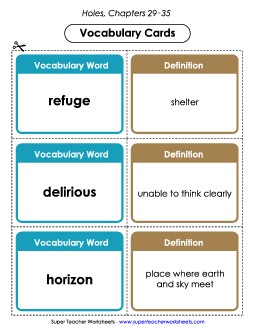 Vocab. Cards for Chapters 29-35 Book Holes Worksheet